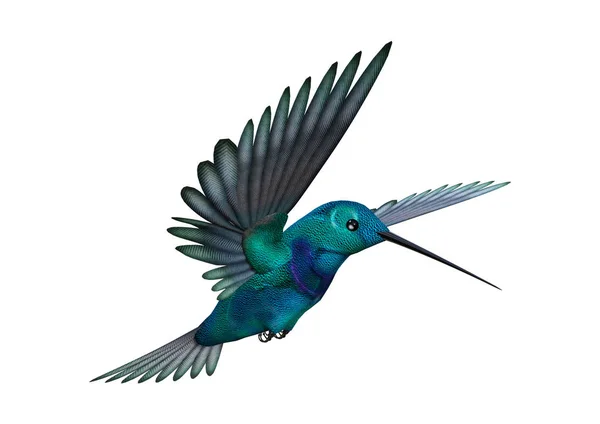 3D rendering Hummingbird op wit — Stockfoto