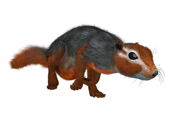 화이트에 3d 렌더링 빨간 부시 다람쥐 — 스톡 사진