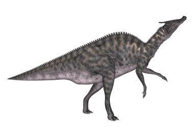 3D render dinozor Saurolophus beyaz
