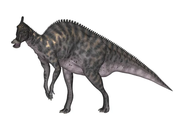 Representación 3D de dinosaurio Saurolophus en blanco — Foto de Stock