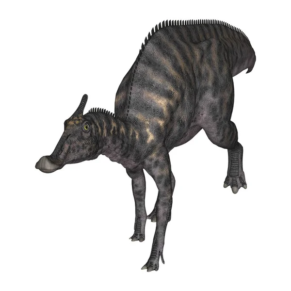 3D rendering dinoszaurusz Saurolophus, fehér — Stock Fotó