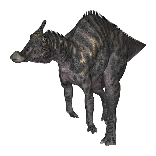 3D rendering dinoszaurusz Saurolophus, fehér — Stock Fotó