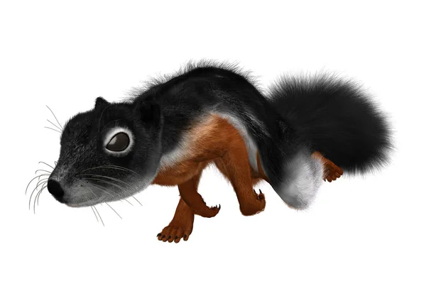 3D-Rendering überwiegt Eichhörnchen auf Weiß — Stockfoto