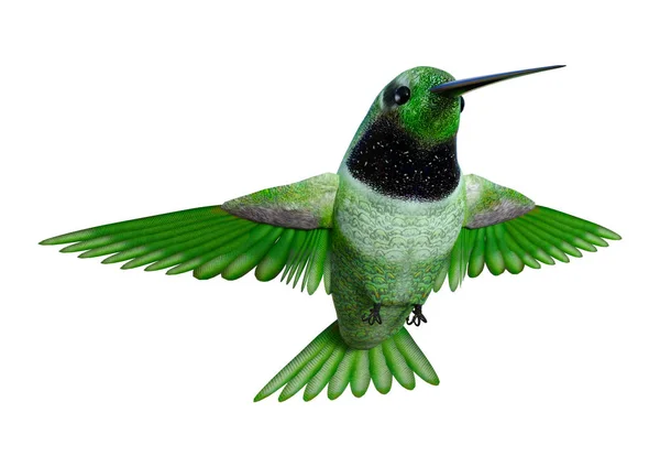 3D rendering kolibri-fehér — Stock Fotó