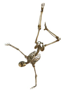 Beyaz üzerine 3D render insan iskeleti