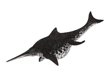 3D işleme Ichthyosaur Shonisaurus beyaz