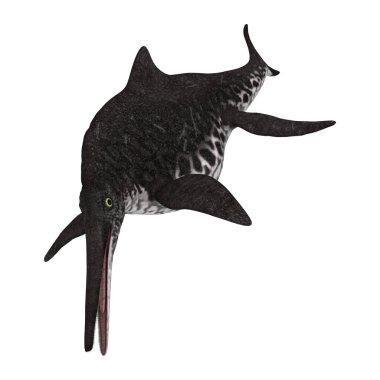 3D işleme Ichthyosaur Shonisaurus beyaz