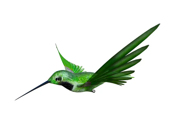 3D rendering Hummingbird op wit — Stockfoto