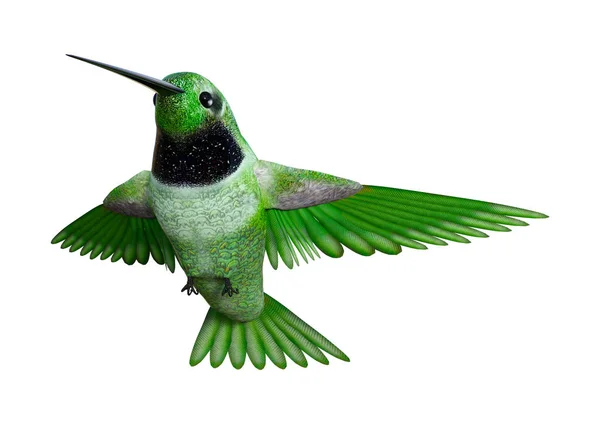 3D rendering Hummingbird op wit — Stockfoto