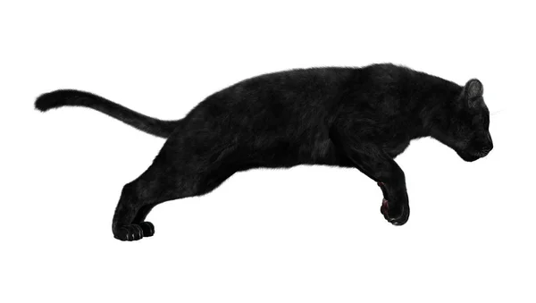 3D Rendering Black Panther auf Weiß — Stockfoto