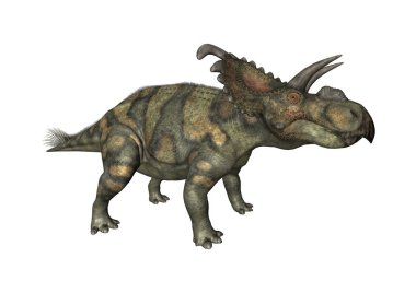 3D render dinozor Albertaceratops beyaz