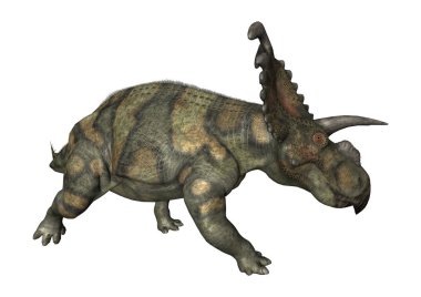 3D render dinozor Albertaceratops beyaz