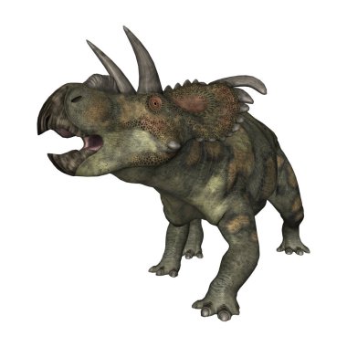 3D render dinozor Albertaceratops beyaz