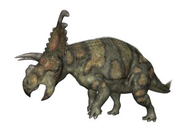 3D render dinozor Albertaceratops beyaz