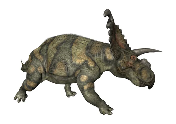 3D rendering dinosaurus Albertaceratops op wit — Stockfoto