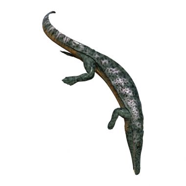 3D render Archegosaurus beyaz