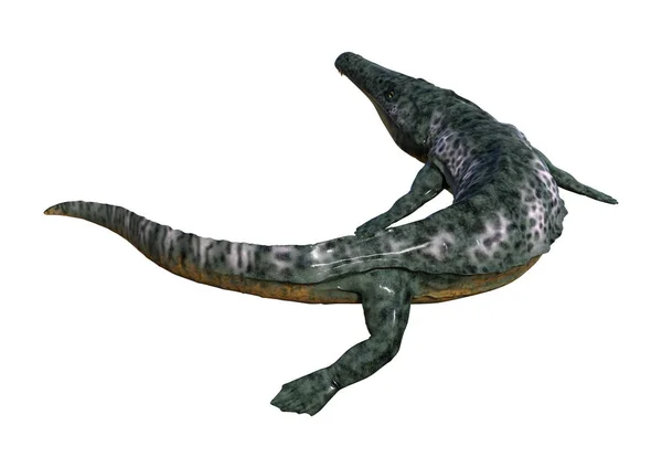 白の 3 d のレンダリング アルケゴサウルス — ストック写真