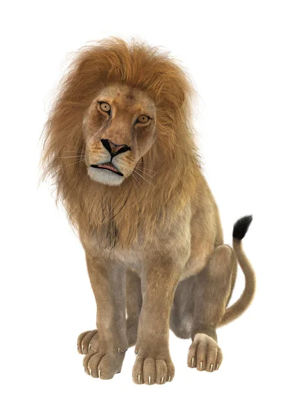 3D-рендеринг самца льва на белом — стоковое фото