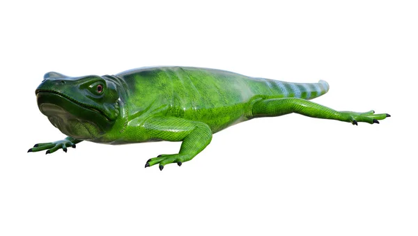 3D renderização Chuckwalla em branco — Fotografia de Stock