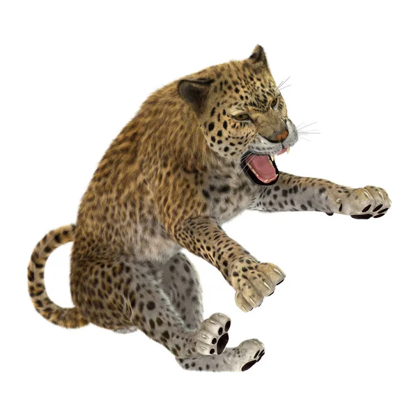 3D vykreslování velká kočka Leopard na bílém — Stock fotografie