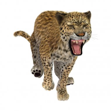 3D render büyük kedi Leopard üzerinde beyaz