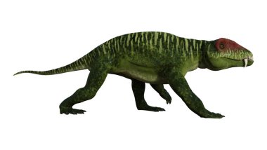 3D render dinozor Doliosauriscus beyaz