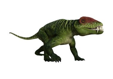 3D render dinozor Doliosauriscus beyaz