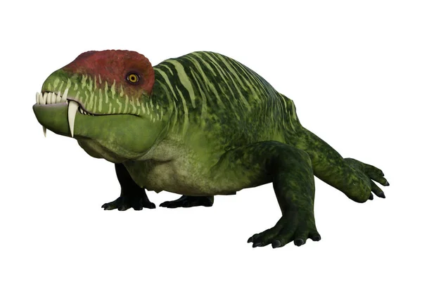 3D rendering Dinosaur Doliosauriscus op wit — Stockfoto
