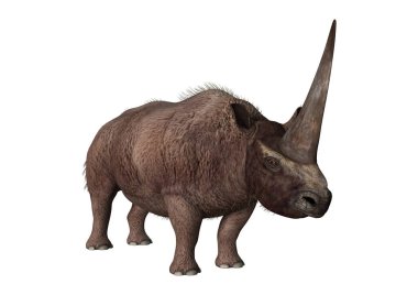 3D render Elasmotherium beyaz