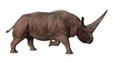 3D render Elasmotherium beyaz