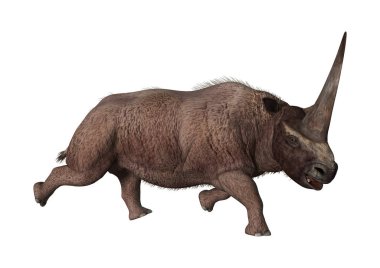 3D render Elasmotherium beyaz