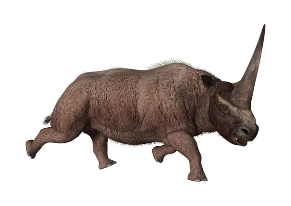 Rendering 3D Elasmotherium su Bianco — Foto Stock