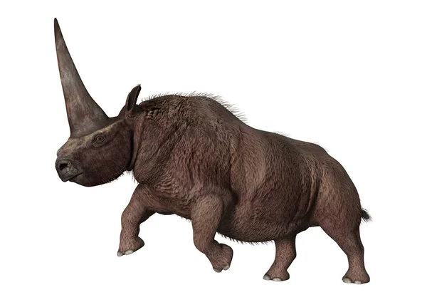 3D rendering Elasmotherium op wit — Stockfoto