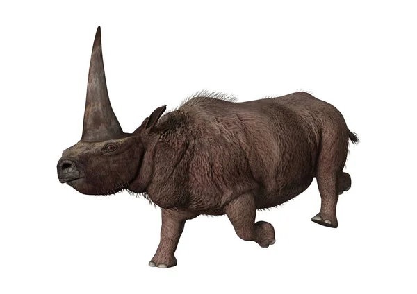 3D rendering Elasmotherium-fehér — Stock Fotó