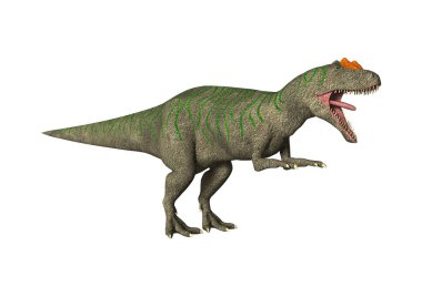 3D render dinozor Allosaurus beyaz