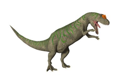 3D render dinozor Allosaurus beyaz
