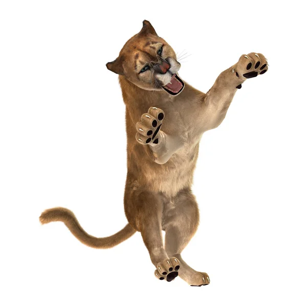 3D rendering nagymacska Puma-fehér — Stock Fotó