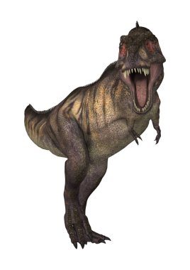 3D render dinozor Tyrannosaurus beyaz