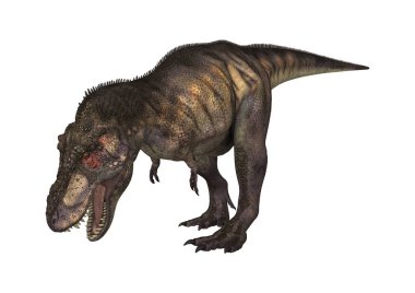 3D render dinozor Tyrannosaurus beyaz