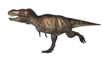3D render dinozor Tyrannosaurus beyaz