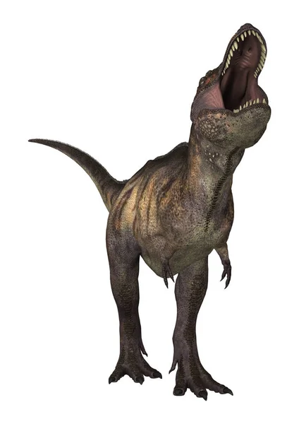 3D renderizado dinosaurio tiranosaurio en blanco —  Fotos de Stock
