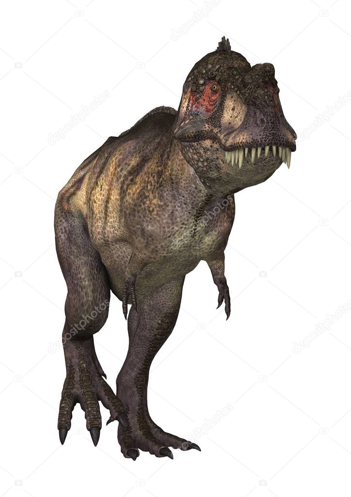 3D Rendering Dinosaur Tyrannosaurus on White