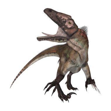 3D render dinozor Utahraptor beyaz