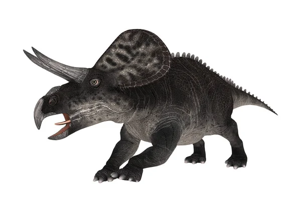 3D rendering dinoszaurusz Zuniceratops a fehér — Stock Fotó