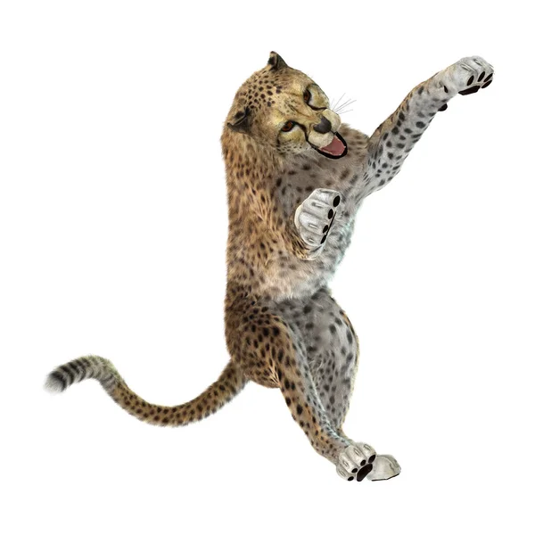 Representación 3D Big Cat Cheetah en blanco —  Fotos de Stock