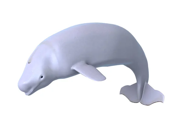 3D renderizando a baleia branca Beluga em branco — Fotografia de Stock