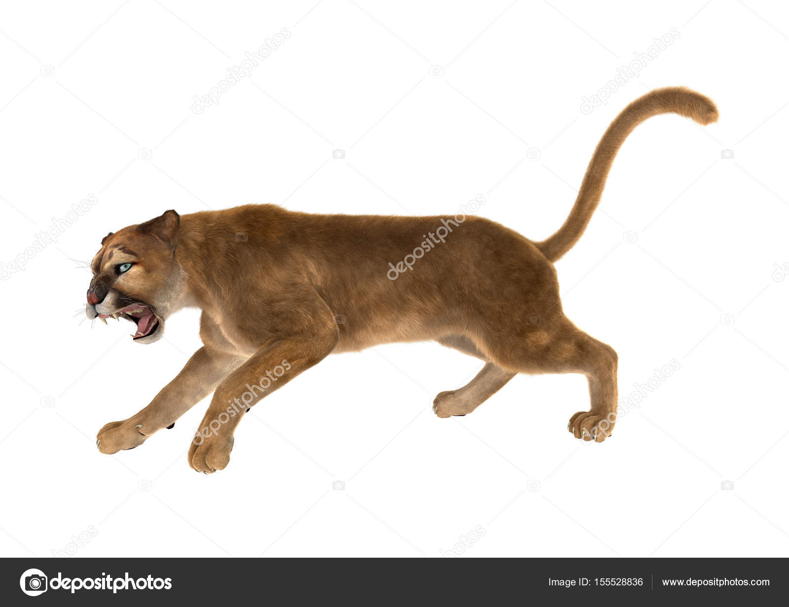 3D Rendering Big Cat Puma on White Stock Photo by ©PhotosVac 155528836