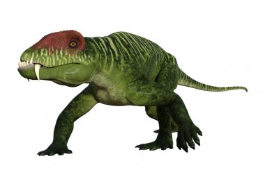 3D render dinozor Doliosauriscus beyaz
