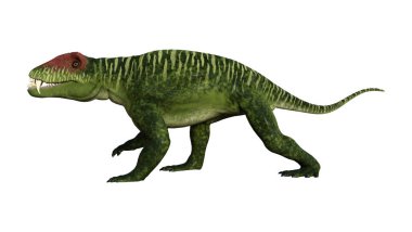 3D render dinozor Doliosauriscus beyaz