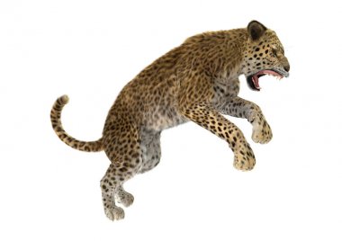 3D render büyük kedi Leopard üzerinde beyaz